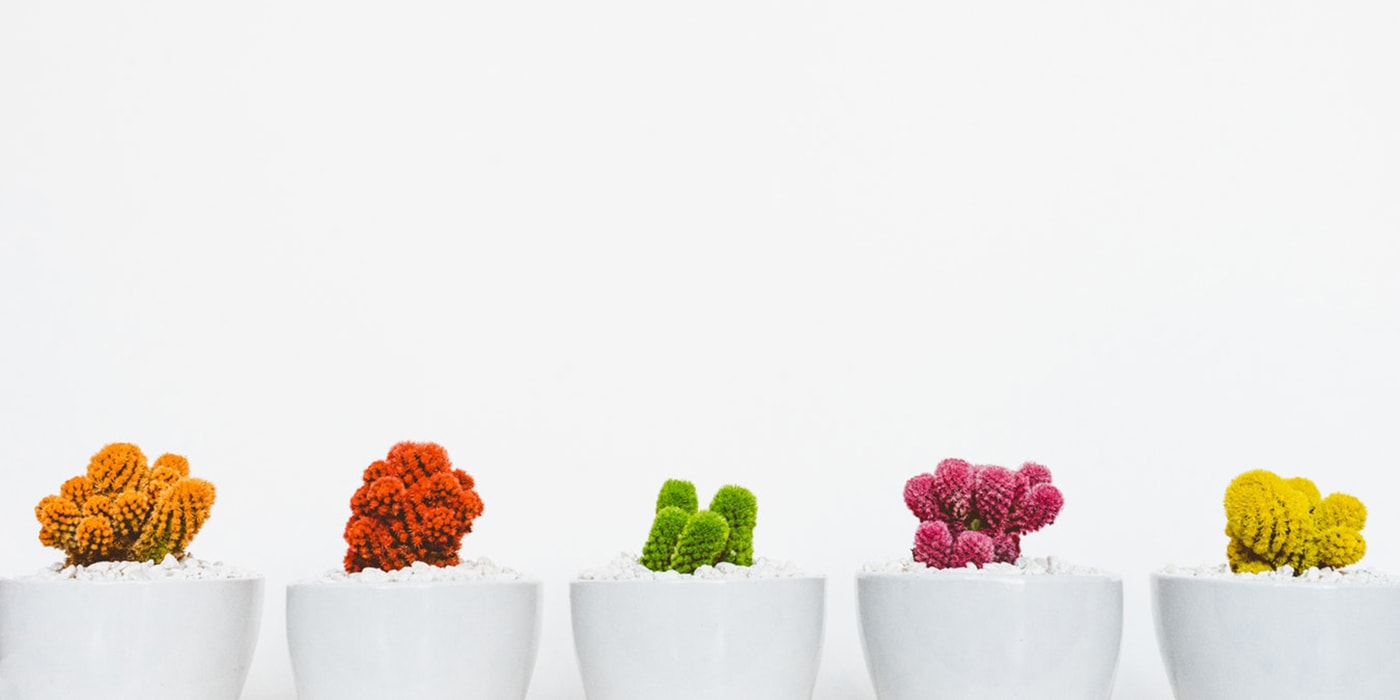 Five white plant pots